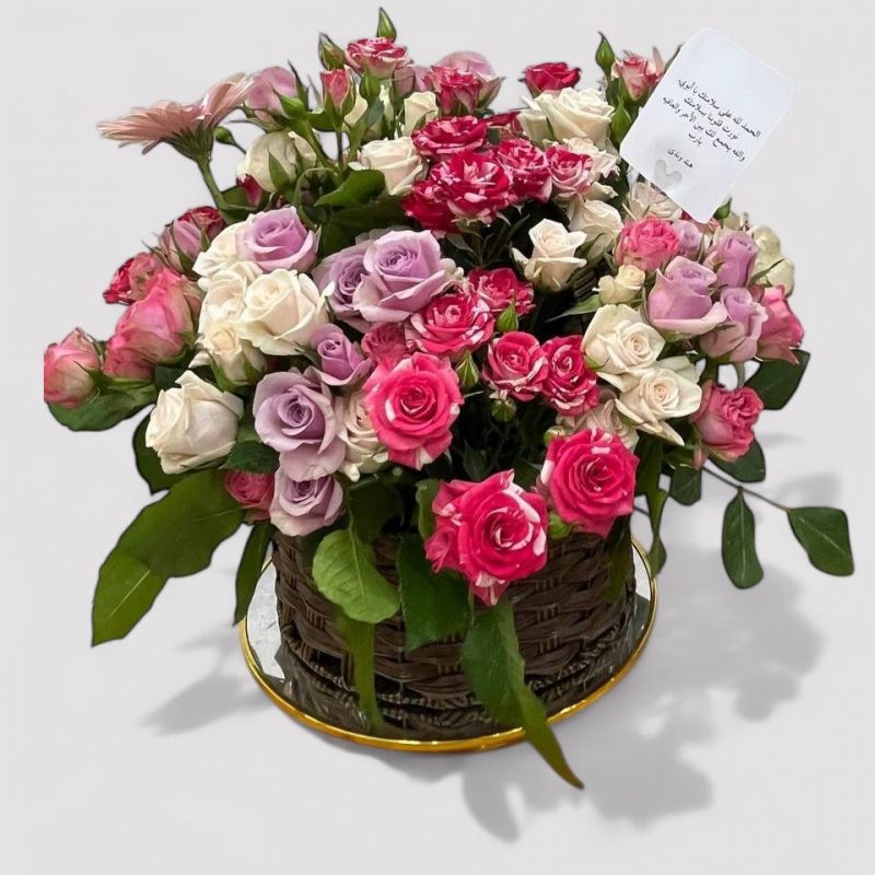 WhatsApp Image 2025-10-15 at 1.12.02 PM (1)