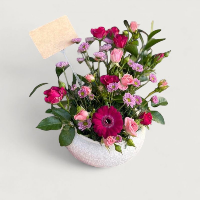 WhatsApp Image 2025-10-15 at 1.12.03 PM (1)